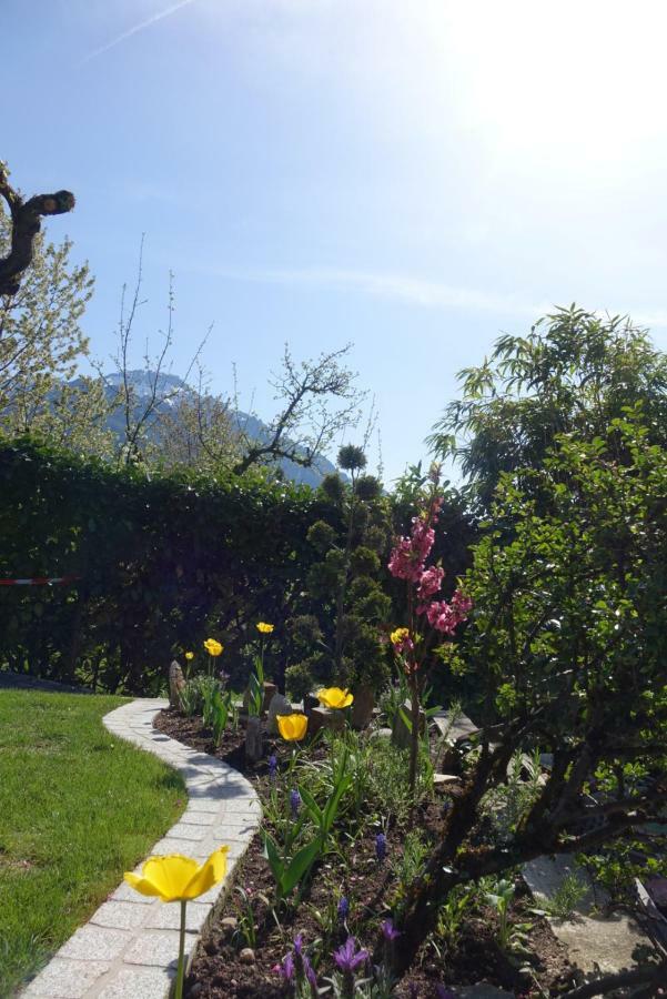 Alpen Air Exklusive Apartments Bad Reichenhall Exterior foto